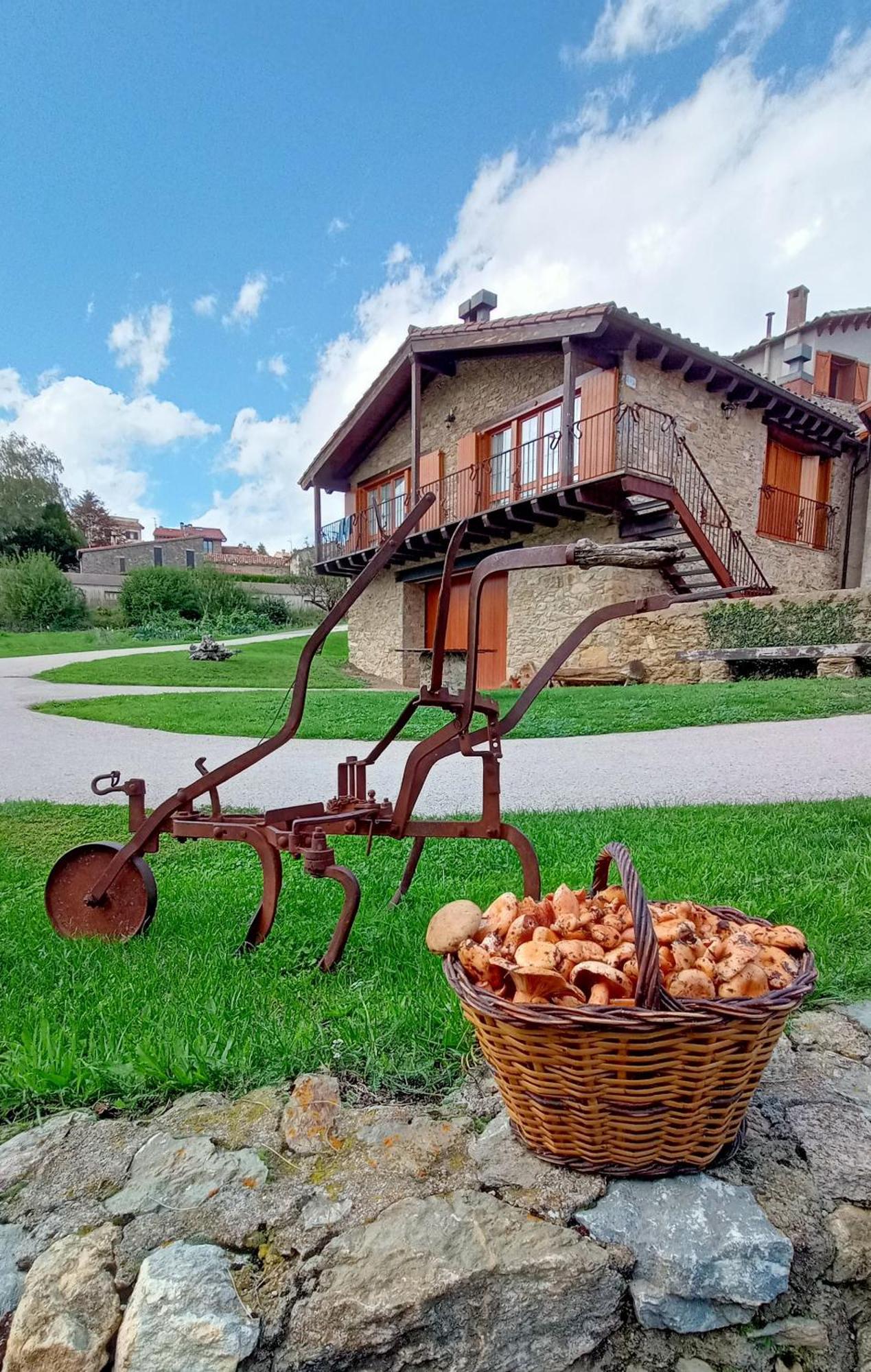 Can Tubau - Casa Rural - Apartaments Campelles Zewnętrze zdjęcie