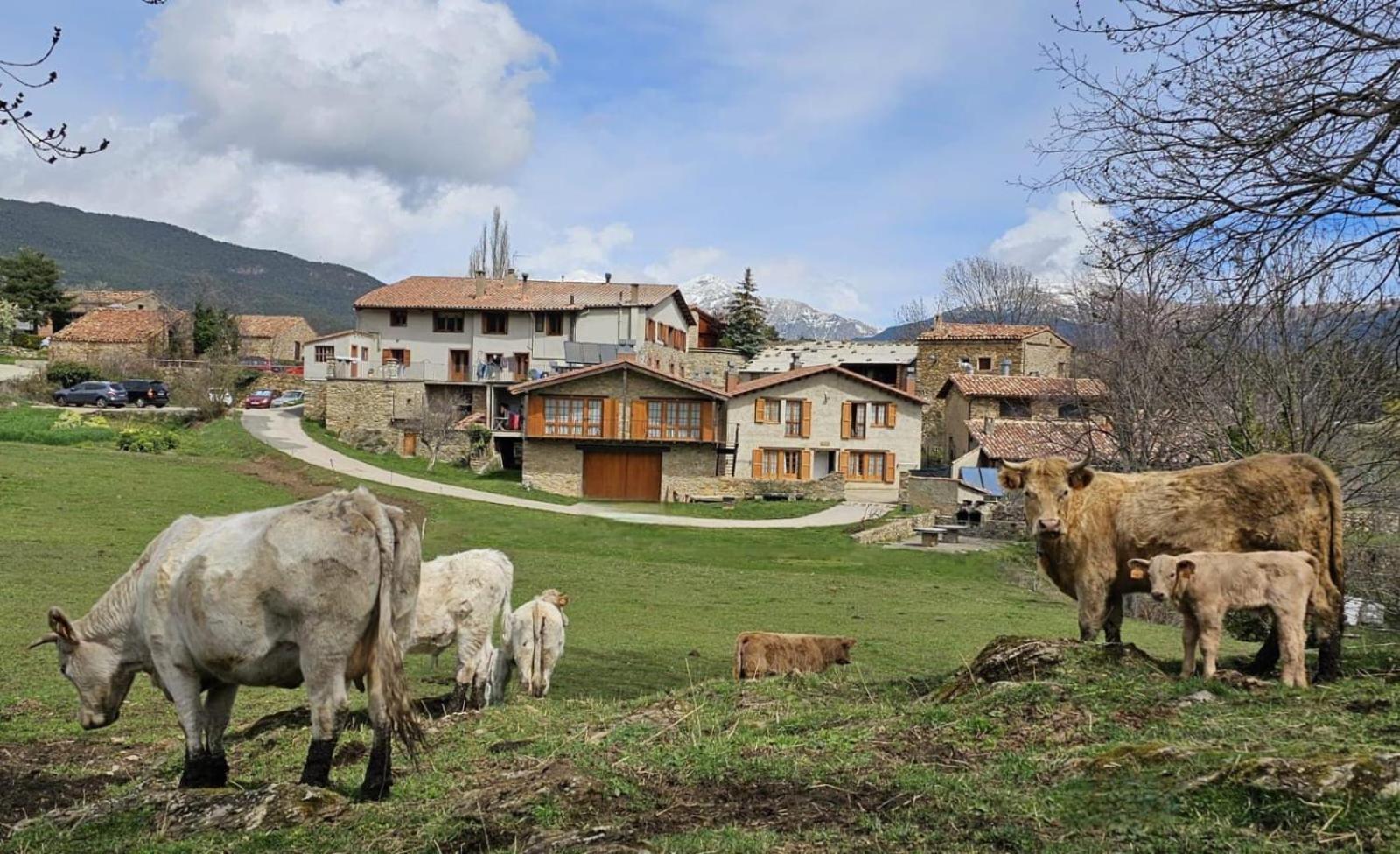 Can Tubau - Casa Rural - Apartaments Campelles Zewnętrze zdjęcie